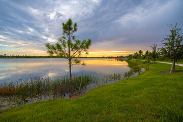 Amazing Florida nature. Sunset over lake water in southern tropical wetlands