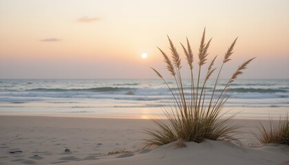 Peaceful sunset over the ocean with sea oats on a sand dune, creating a calm and relaxing coastal atmosphere. Perfect for travel and nature themes.