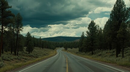 Fototapeta premium Scenic winding road through forested landscape under cloudy sky