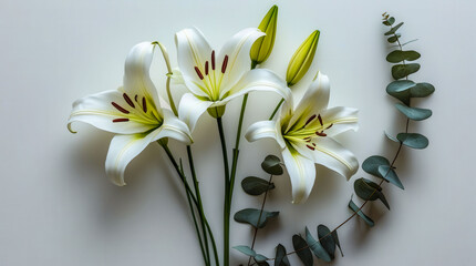 Fototapeta premium A bouquet of white flowers with green leaves. The flowers are arranged in a way that they are all facing the same direction. The arrangement gives off a sense of harmony and balance