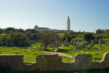 Il complesso archeologico con i resti delle Terme di Antonino, Area archeologica di Cartagine,...
