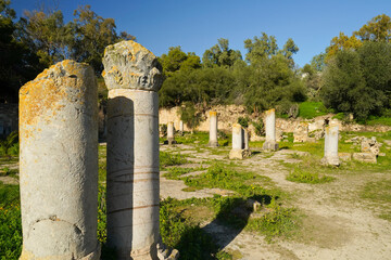 Il complesso archeologico con i resti delle Terme di Antonino, Area archeologica di Cartagine,...