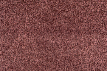 Texture of dense purple fabric for tailoring. Canvas. Textile. Material. Velour