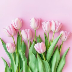Fototapeta premium Pink Tulips Spring Blossom Floral Bouquet Pastel Background