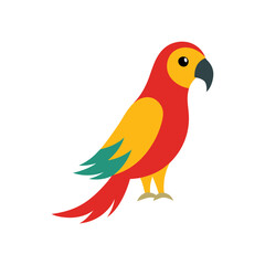 red parrot isolated on white background