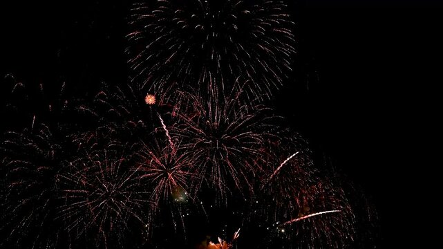  colourful firework display set for celebration happy new year and merry christmas and  fireworks on black background
