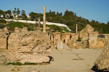 Il complesso archeologico con i resti delle Terme di Antonino, Area archeologica di Cartagine,...