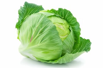 Fototapeta premium Fresh cabbage on white surface. Artificial intelligence image