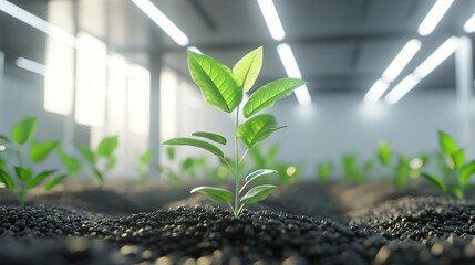 Grow Your Business Beyond Boundaries with Corporate Success