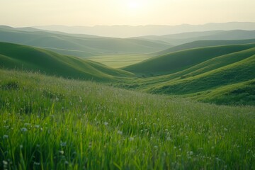 Fototapeta premium Scenic rolling green hills covered in lush grass, bathed in soft sunlight. A tranquil natural landscape with gentle slopes, creating a peaceful and picturesque countryside view