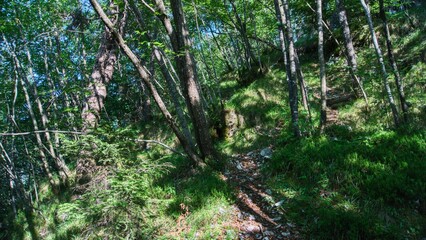 Nature in Bezzecca, Trento (Italy)
