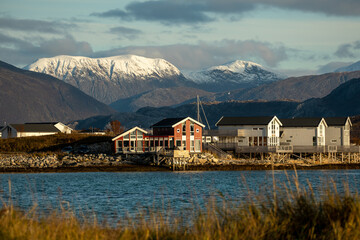 Naklejka premium Reine town and the Arctic Ocean in the Lofoten Islands, Norway