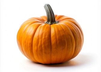 Obraz premium Pumpkin On A White Background
