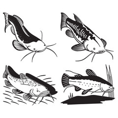 Fototapeta premium Set of fish silhouettes