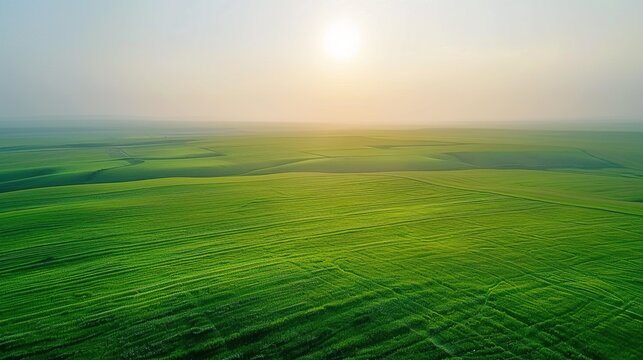 In June, God Vision took a vertical downward aerial photo of the vast green farmland in the North China Plain, with beautiful sunshine. 