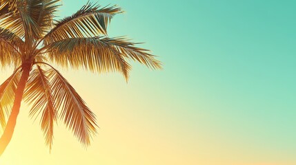 Vibrant palm leaf tree illuminated by sunlight against a clear sky with abstract grunge texture in orange, yellow, teal, green, blue tones. Tropical summer background for travel and design concepts.