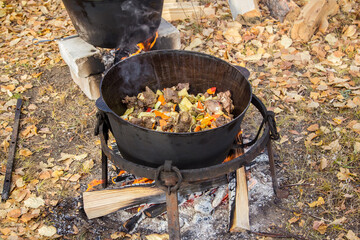 Cooking meat in a cauldron on a fire in the forest