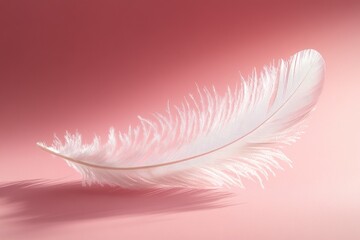 Obraz premium Delicate White Feather on Soft Pastel Pink Background with Gentle Sunlight