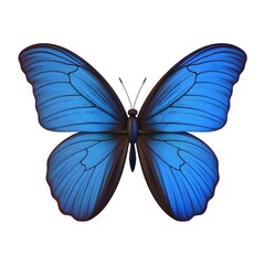Detailed Illustration of a Vibrant Blue Butterfly.