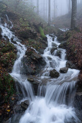 waterfall in the forest