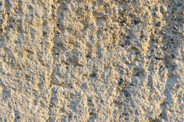 Textured wall surface showcasing natural patterns and colors