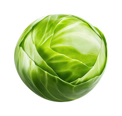 Harvesting fresh cabbage farm food isolated on transparent background, png