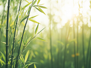 Bamboo growth in lush forest nature serene environment close-up