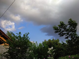 Natural Sky Landscape with Blue Sky and Moody Clouds from a Side Yard Garden, Perfect for Backgrounds and Nature Photography Collections