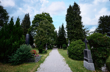 Peaceful Cemetery Pathway Surrounded By Lush Green Trees and Tombstones