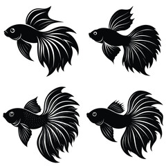 Obraz premium creative Betta Fish silhouette vector logo design Collection