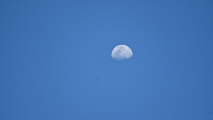 moon in the morning sky