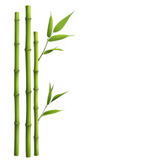 Naklejka premium Green Bamboo Stalks with Fresh Leaves on White Background