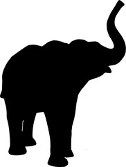 elephant silhouette isolated on white
