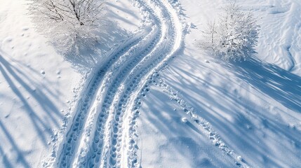 snow trail pathway, top view