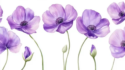 Gardinen Soft Purple Anemones, Floral Illustration,  Background,  Design Element © cllareta