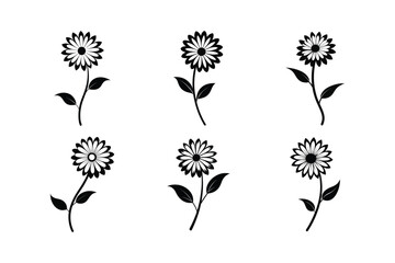 Daisy (Bellis perennis) silhouette vector illustration © Helal
