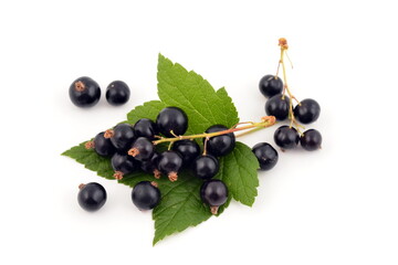 Black currant with green leaves isolated on white background.