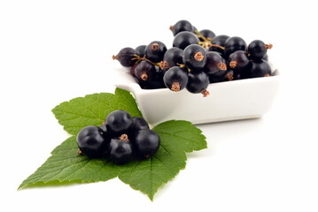Black currant in white bowl with green leaves isolated on white background.