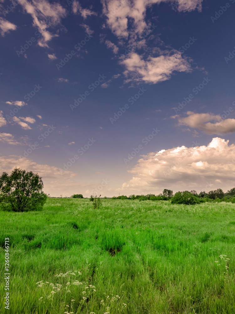 Wall mural field of grass with a tree in the background