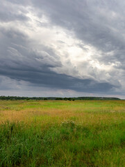 Field of grass is shown with a cloudy sky in the background