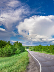 Road with a few trees on the side and a cloudy sky