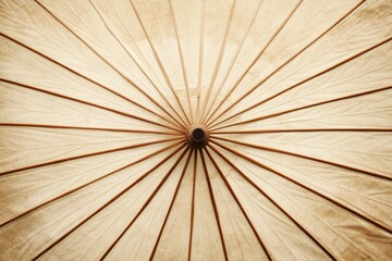 Exquisite details of a traditional umbrella showcasing its craftsmanship and intricate design while illuminated by soft natural light