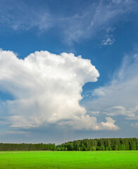 Large cloud is looming over a field of green grass