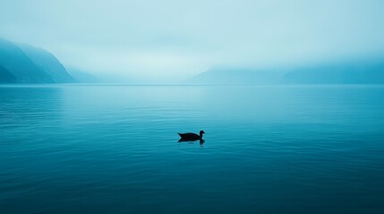 Obraz premium A serene waterscape featuring a solitary duck gliding across a calm, misty lake surrounded by mountains, This image conveys tranquility and solitude