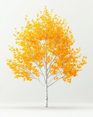 Fototapeta premium A vibrant yellow tree with a white trunk, set against a light background, showcasing autumn foliage and natural beauty.