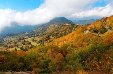Autumn scenery of colorful forests on the hillside & a scenic highway winding by the mountainside in beautiful Shiga Kogen Highlands, a beautiful national park & tourist destination in Nagano, Japan 