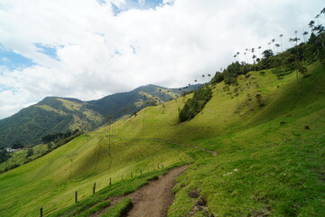 Obraz premium Cocora, Colombia, Landscape