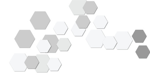 Abstract technology white grey geometric hexagon on transparent concept design honeycomb shape vector. 