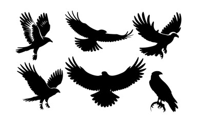 Obraz premium Flying Eagle Silhouette Vector Set Perfect for Logos T-Shirts and Digital Art