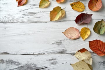 Autumn leaves are arranged in a circle on a white table